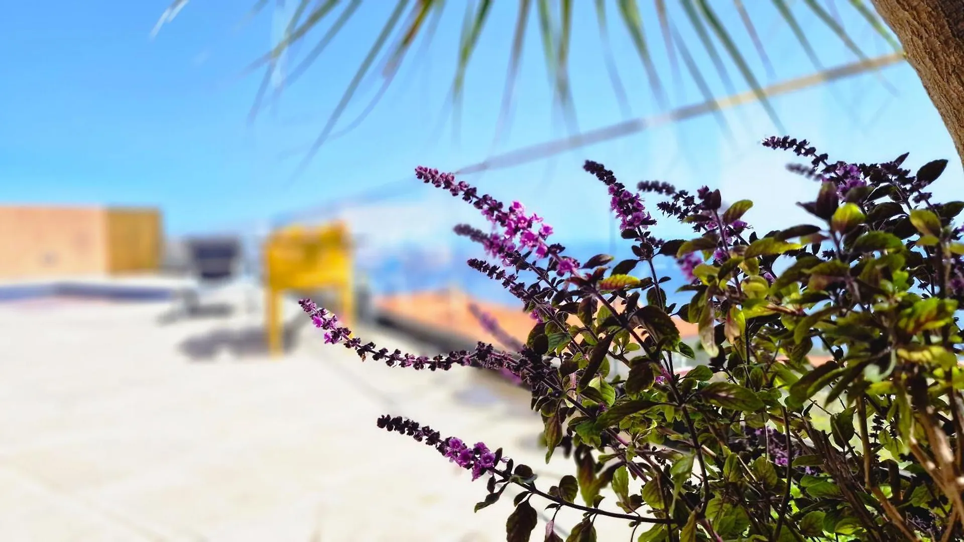 Eden Sun - A Modern Luxury Villa With A Panoramic View Prazeres